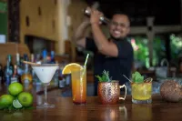 Capitán Suizo Beachfront Boutique Hotel - bar