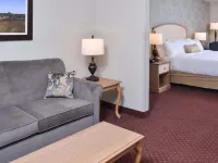 Appomattox Inn and Suites - Wifi