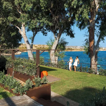 Zurafa Resort