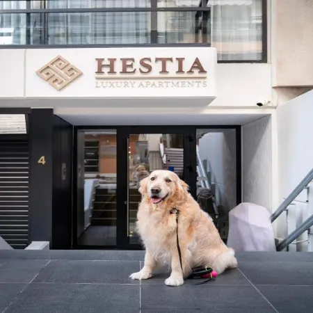 Hestia - Dimitressa 4