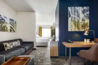 SpringHill Suites Tempe at Arizona Mills Mall - 3-Star