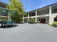 Red Roof PLUS+ & Suites Tampa- Busch Gardens - parkir