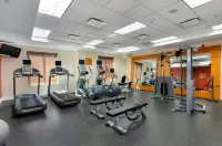 Hilton Garden Inn Mobile West I-65/Airport Blvd. - Fitnessstudio