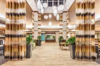 Hilton Garden Inn Gainesville - parking