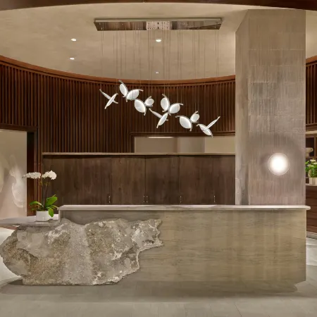 St. Regis Residence Club, Aspen