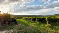 La Corte Nelle Vigne - Homestays