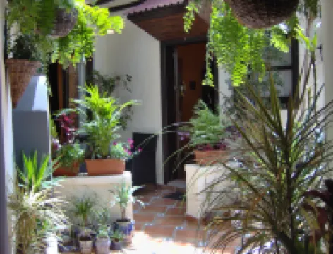 Mediterranean Holiday Home with Small Patio-Terrace Hotels in Icod de los Vinos