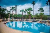Hilton St. Petersburg Carillon Park - piscine