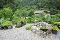 Danyang Talk Pension Hotels near Guinsa Temple