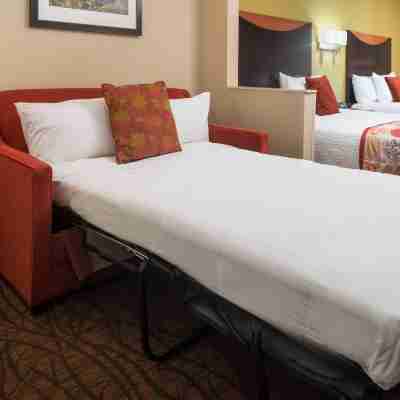 Fairfield Inn & Suites Tucson North/Oro Valley Rooms
