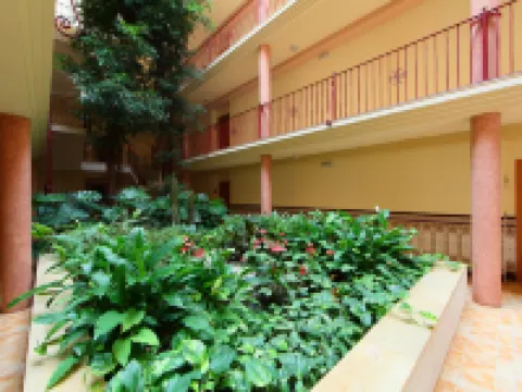 Playa Delicias 聖卡洛斯拉臘皮塔酒店