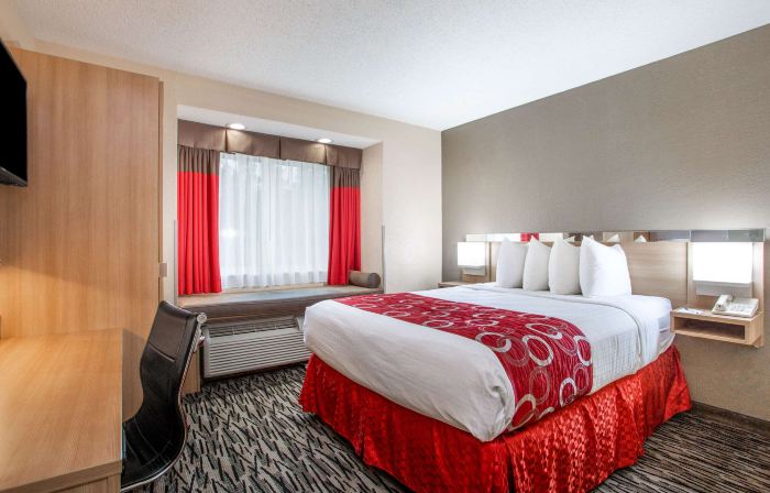 Microtel Inn & Suites by Wyndham Charleston WV