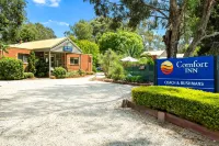 Comfort Inn Coach & Bushmans Hôtels à : Seymour