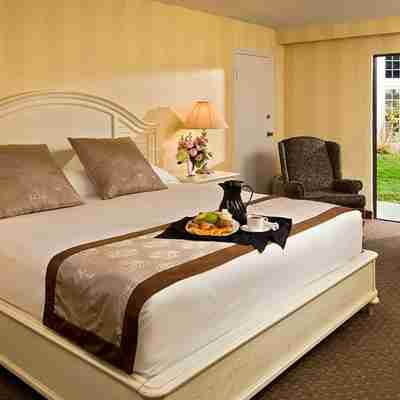 Margaritaville Resort Cape Cod Rooms