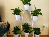 Cimei Apartment (Zhujiapo Road)