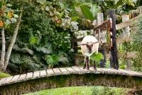 Fazzenda Park Resort - Villas