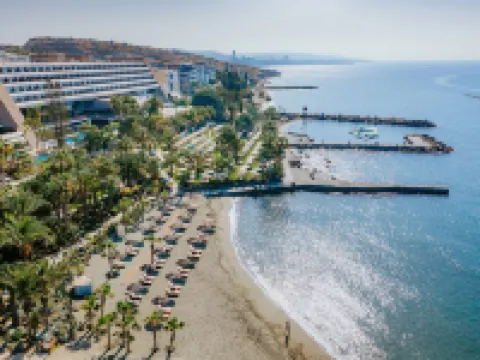 Amathus Beach Hotel Limassol Hotels in Limassol