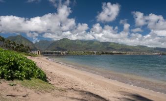 Maui Seaside Hotel