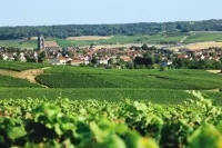 Logis le Relais Champenois Hotel a Sezanne