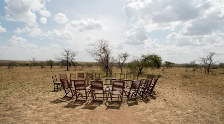 Ikoma Wild Camp Отели в г. Серенгети