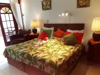 ハイビスカス バレー イン のホテル