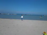 Hotel Royal Misano - sul mare