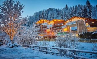Thomsn-Alpine Rock Hotel