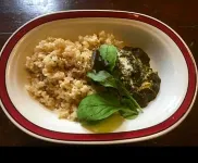 Guesthouse Unila Hotel a 