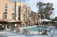 Hampton Inn & Suites Mobile Providence Park/Airport