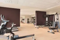 Hilton Garden Inn Phoenix Tempe, University Research Park - Gym
