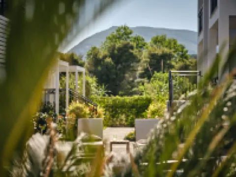 Cactus Hotel โรงแรมใน
