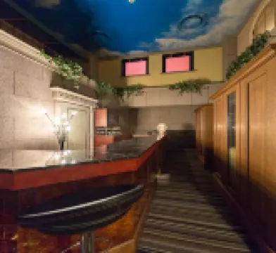 大高麗晶酒店-限成人