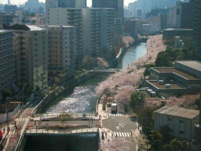 ホテル周辺 ニューオータニ イン東京の写真