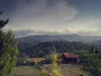 Ktdc Tamarind Thirunelly Hotels in Nalkeri Forest