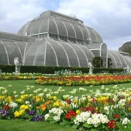 Kew Studios and Rooms