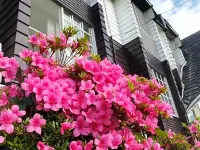 JAS HOTEL TAKAYAMA（ジャスホテル高山） 照蓮寺周辺のホテル