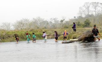 Green Park Chitwan