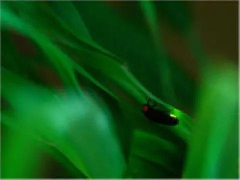 Takimien Hotels in Otaki