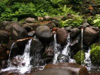 Tendai No Yu Hotels in Ninohe