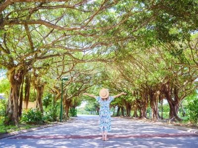 ホテル周辺 ホテル日航アリビラの写真