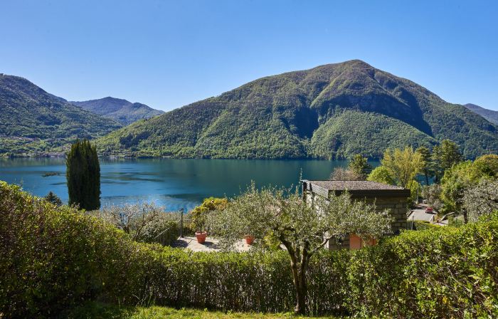 Poggio Degli Ulivi