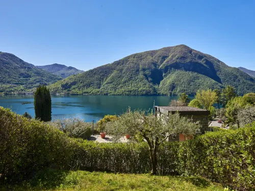 Poggio Degli Ulivi
