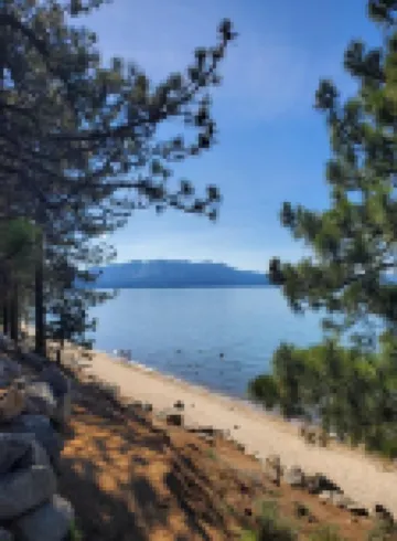 青鳥日套房旅店