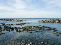 癒楽 伊豆大島 大島のホテル