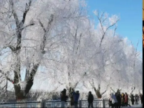 Liangqi Apartment (Xinshan Street) 룽탄구 호텔