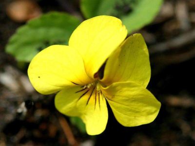 その他 レゾネイトクラブくじゅうの写真