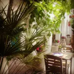 Hotel Arisha Hotels in Houmt Souk