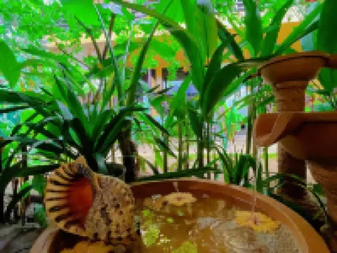 Soeliana Resort Hotels in General Luna