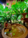 Soeliana Resort