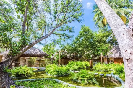 Malahini Kuda Bandos Resort Отели рядом с достопримечательностью «Ланканфинолу»